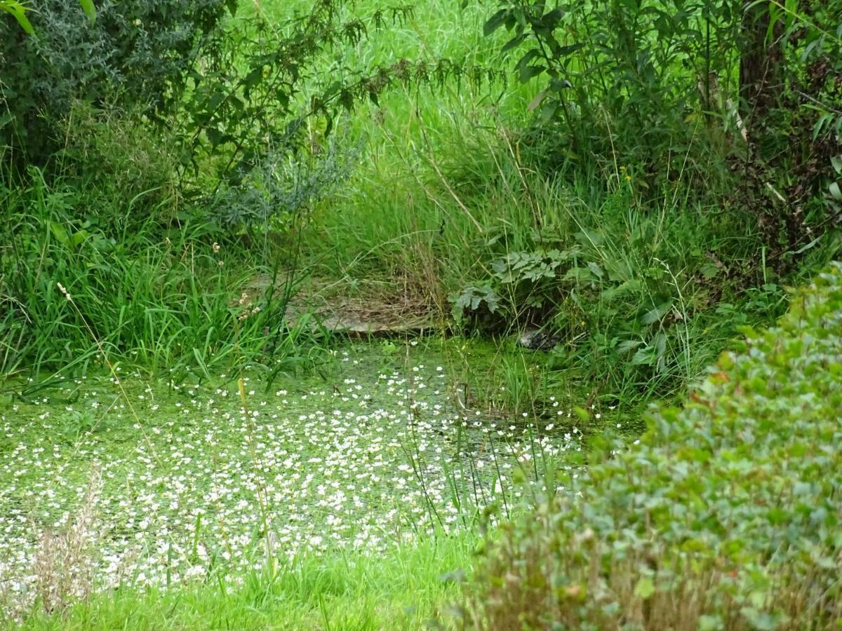 Urselhof Lägenhet Hermsdorf  Exteriör bild